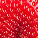 Erdbeeren aus Samen ziehen – Lohnt sich das?