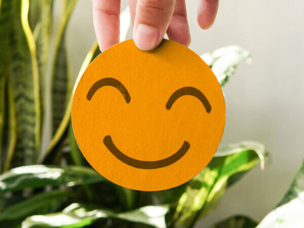 Diese Pflanzen sorgen für gute Laune