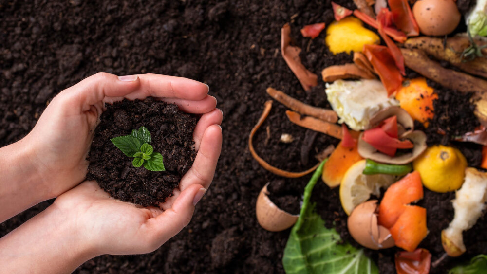 Organischer Dünger für Jungpflanzen