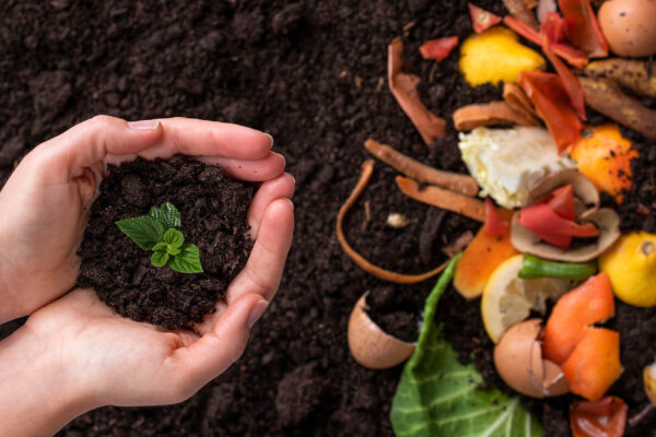 Organischer Dünger für Jungpflanzen