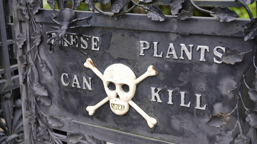 Poison Garden