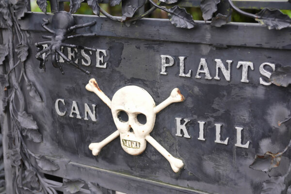 Poison Garden