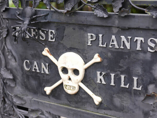 Poison Garden – der gefährlichste Garten von Alnwick Garden