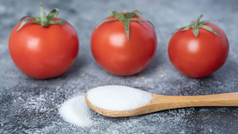 Salz im Tomaten-Gießwasser