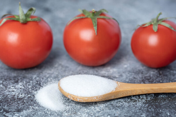 Salz im Tomaten-Gießwasser
