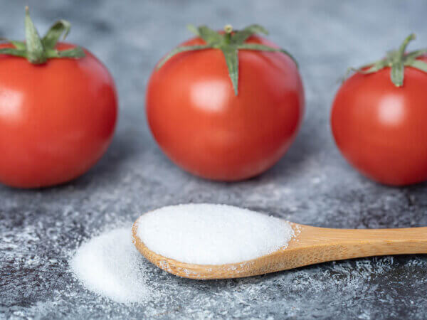 Tomaten mit Salzwasser gießen – macht Salz Tomaten wirklich aromatischer?