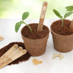 Stecketiketten: Unverzichtbar für eine organisierte Anzucht