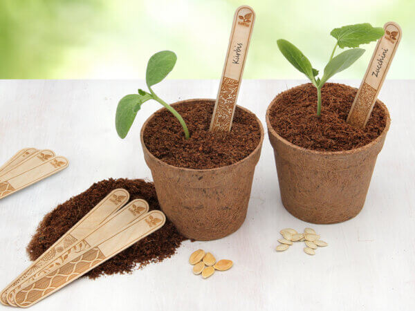 Stecketiketten: Unverzichtbar für eine organisierte Anzucht