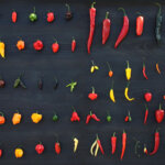 Chilisorten auswählen: Welche Sorten wirklich zu Ihnen passen