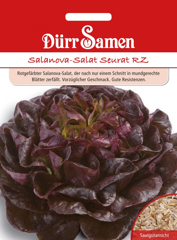 Salatsamen Pflücksalat SalanovaSalat Seurat RZ von DürrSamen