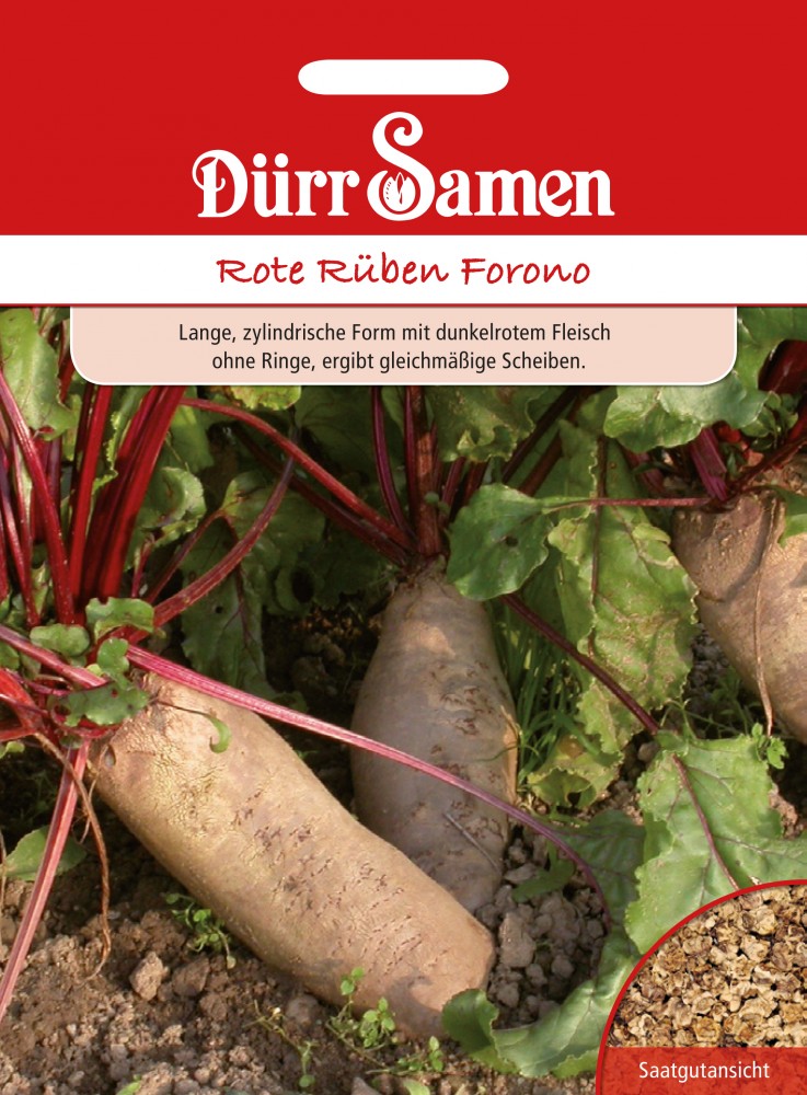 Rote Rübe Forono | Rübensamen von Dürr Samen