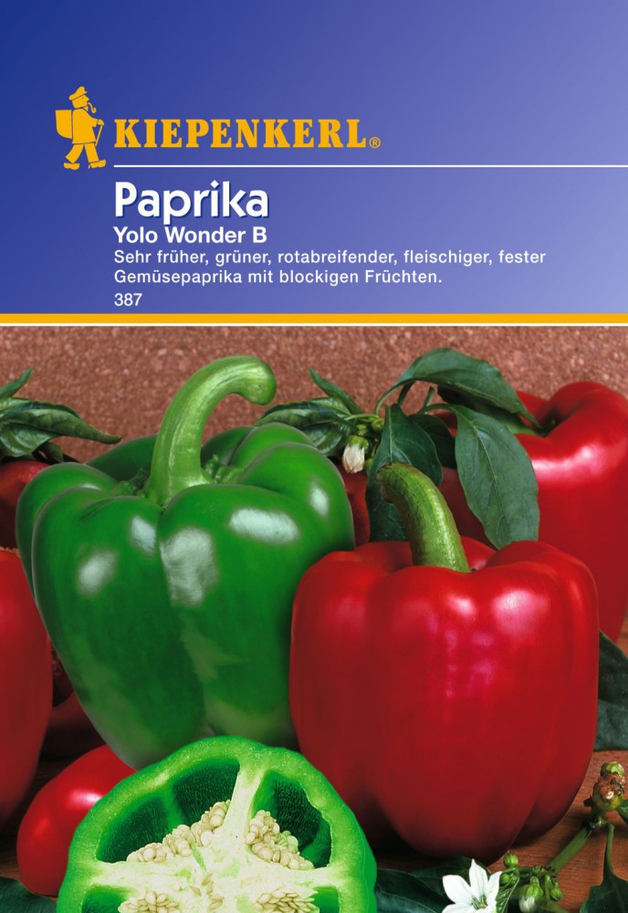 Paprikasamen Paprika Yolo Wonder B von Kiepenkerl