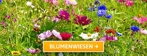 Samenhaus Samen Samereien